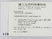 登錄號:F0010334藏品圖，第2張