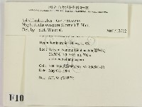 登錄號:F0010335藏品圖，第2張