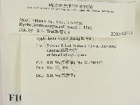 登錄號:F0010336藏品圖，第2張