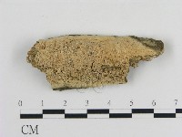 登錄號:F0010336藏品圖，第1張