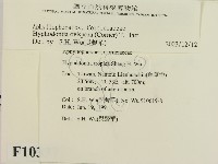 登錄號:F0010337藏品圖，第2張