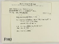 登錄號:F0010338藏品圖，第2張