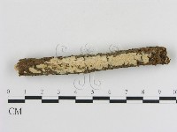 登錄號:F0010338藏品圖，第1張