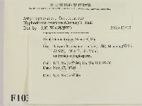 登錄號:F0010339藏品圖，第2張