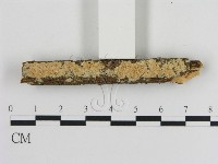 登錄號:F0010339藏品圖，第1張