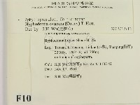 登錄號:F0010340藏品圖，第2張