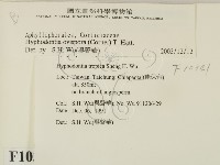 登錄號:F0010341藏品圖，第2張