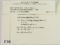 登錄號:F0010342藏品圖，第2張