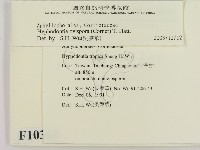 登錄號:F0010343藏品圖，第2張