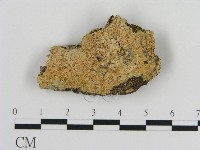 登錄號:F0010344藏品圖，第1張