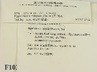 登錄號:F0010345藏品圖，第2張