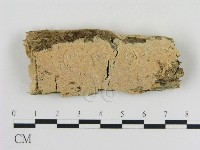 登錄號:F0010345藏品圖，第1張