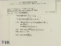 登錄號:F0010346藏品圖，第2張