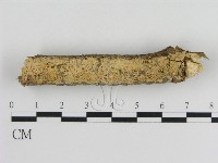 登錄號:F0010346藏品圖，第1張