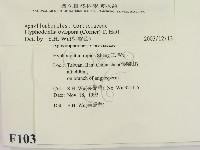 登錄號:F0010347藏品圖，第2張