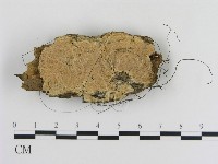 登錄號:F0010347藏品圖，第1張