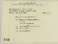 登錄號:F0010348藏品圖，第2張