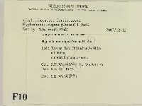 登錄號:F0010349藏品圖，第2張