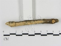 登錄號:F0010349藏品圖，第3張