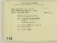 登錄號:F0010350藏品圖，第2張