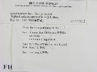 登錄號:F0010351藏品圖，第2張