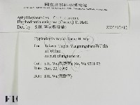 登錄號:F0010352藏品圖，第2張