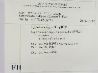 登錄號:F0010353藏品圖，第2張