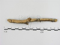 登錄號:F0010354藏品圖，第1張