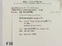 登錄號:F0010355藏品圖，第2張