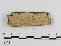 登錄號:F0010355藏品圖，第1張