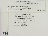 登錄號:F0010356藏品圖，第2張