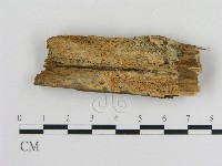 登錄號:F0010357藏品圖，第1張