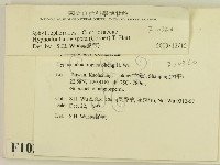 登錄號:F0010360藏品圖，第2張