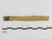 登錄號:F0010360藏品圖，第1張