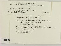 登錄號:F0010361藏品圖，第2張