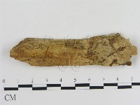 登錄號:F0010363藏品圖，第1張