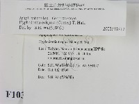 登錄號:F0010364藏品圖，第2張