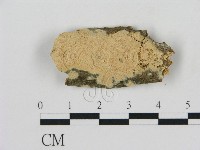 登錄號:F0010364藏品圖，第1張