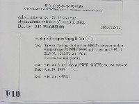 登錄號:F0010365藏品圖，第2張