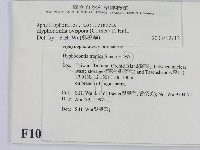 登錄號:F0010366藏品圖，第2張