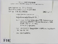 登錄號:F0010367藏品圖，第2張