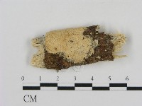 登錄號:F0010367藏品圖，第1張