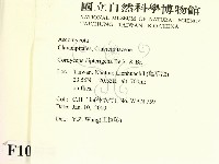 登錄號:F0010368藏品圖，第2張