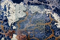 登錄號:F0010370藏品圖，第3張