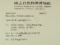 登錄號:F0010371藏品圖，第2張