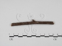 登錄號:F0010371藏品圖，第3張