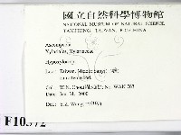 登錄號:F0010372藏品圖，第2張