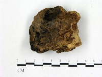 登錄號:F0010372藏品圖，第1張