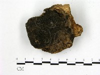 登錄號:F0010372藏品圖，第3張