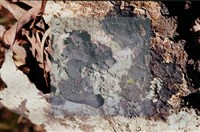 登錄號:F0010372藏品圖，第4張